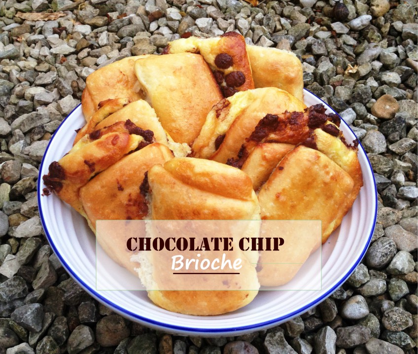 Chocolate Chip Brioche