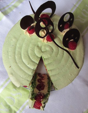Pistachio & Raspberry Macaron Cake