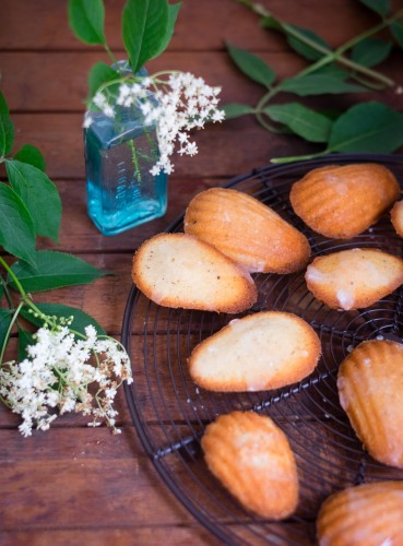 Elderflower Madeleines | Patisserie Makes Perfect