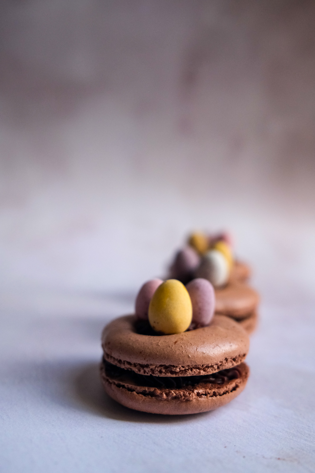 Chocolate Macaron Easter Nests