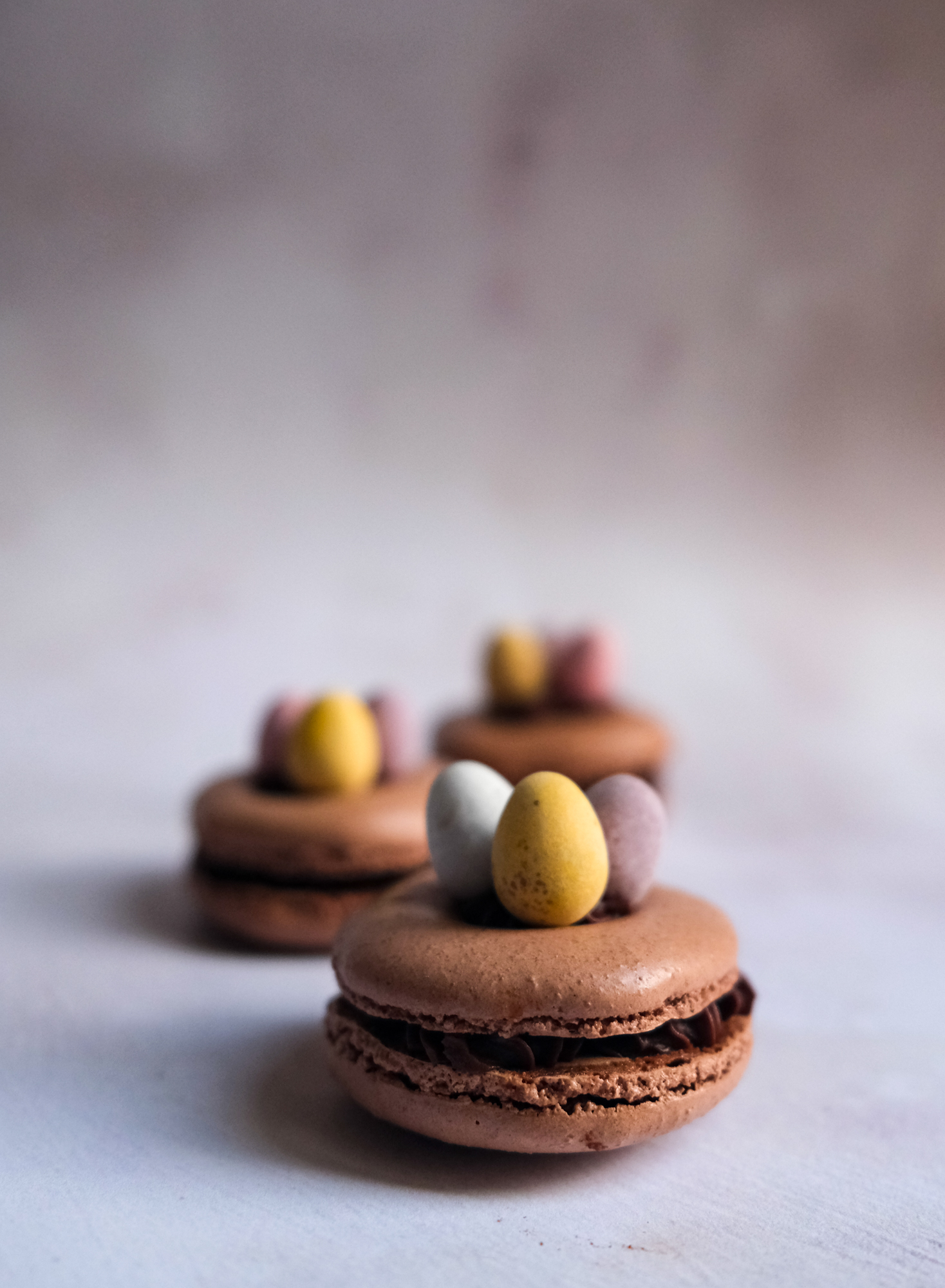 Chocolate Macaron Easter Nests